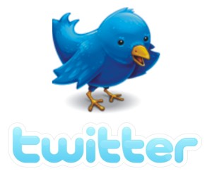 Twitter Plugins