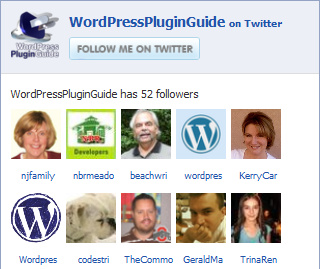 wp-plugin-twitter-fans